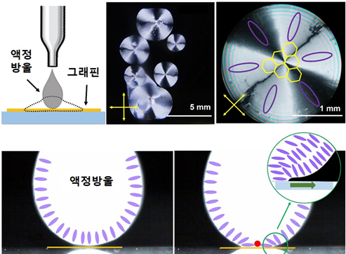 이재현 교수팀, 그래핀 전극 액정배열 원리 규명